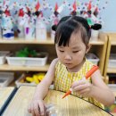 에너지의날)해양식물 마리모💚1 이미지