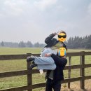 UR(서귀포시)-[태위로]-상-10 | 혼저옵서예 둘이옵서예