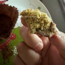 이상한디저트 | 링컨디저트 두쫀쿠 내돈내산 재재재재구매 또구매 솔직후기