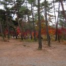 팔봉산 코뚜레 이미지
