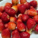 8단지세탁소 | 거어역 정보｜매주 수요일 거여1단지아파트 장서는 날 과일 구매 후기