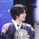 Blossom for you 이미지