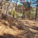 이유록선생 신도비 이미지