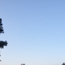 그늘집국수