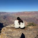 1598 | [2박3일] LA출발 라스베가스+그랜드캐년 포함 관광지+미국 맛집 찐후기 정리