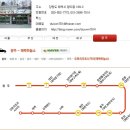 태백하늘소 이미지