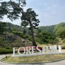 니어 포레스트 | 집에 오는 길에 비 내린 날, 포레스트힐CC 여유 라운드 후기