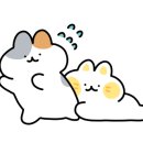 (주)루시카토 이미지