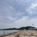 감나무 민박 이미지