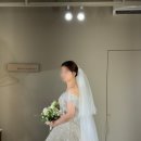 비즈즈 이미지