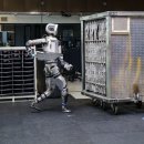 (주)보행글로벌 이미지