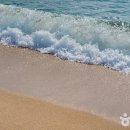 천진해변 이미지
