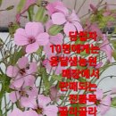 옹달샘cafe 이미지
