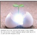 주일목장 이미지