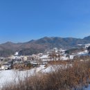평창자동차유리