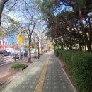 군포우체국 앞 이미지