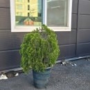 왕창참숯장어 이미지