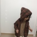 마츠하나 이미지