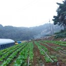 서당골농장 이미지