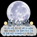 자취직장인의 일기