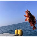 이호약국 이미지