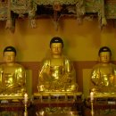 영광 불갑사 대웅전 이미지