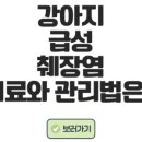 양양동물병원 이미지