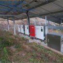 신지면-2 이미지