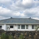 온온종달 이미지