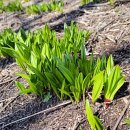 종명농장 이미지