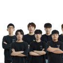 페이즈 이미지