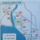 거제섬꽃축제 개장 실시간 주차 개막식 푸드코트 음식 국화 개화 상황
