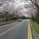 2014년 mustang 100,000km 인증 글올립니다. (10만km 이상되시는분들에겐 우선 죄송 ㅋ) 이미지