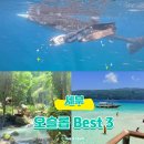 베스트 카케어 | 세부여행 오슬롭 주변 갈 만한 곳 베스트3 (세부 오슬롭 하루 코스 정리)