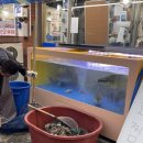 싱싱수산회직판장 이미지