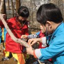 보림어린이집 이미지