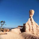 도그판타지 이미지