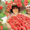 이영철농장 이미지