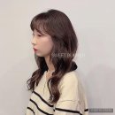 가산미용실 | 새로운 스타일을 찾아서, 가산미용실 스위트벙커 방문 후기
