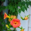 보랏빛민박 이미지