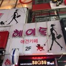 헤이독청주 | [청주 시내 애견카페 헤이독] 귀여운 멈뭄미쨩들과 행복한 데이튜,,,❤