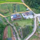 김봉준체육관 이미지