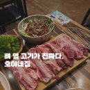 호야네집