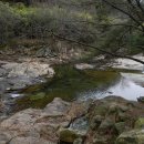 도림사(매표소) 이미지