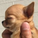 (주)스타비젼 | 팀장님, 혹시 이번 주 금요일에 야차 신청할 수 있을까요?