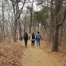바이제이오일 | 제이오- 따뜻한 봄. 제이오 가족과 함께한 산행 후기 #제이오