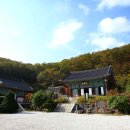 해발 1,000m 고지대에 단풍 명소가?&#34; 차 타고 편하게 오를 수 있는 천년 사찰 이미지