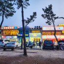 씨유강릉경포해변점 | 강릉여행 추천코스 언제나 좋은 경포해변 주간/야간 산책