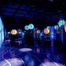 신 달토끼 이미지