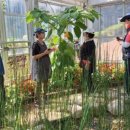 금봉자연휴양림 이미지